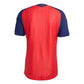 Spain Home Player Version 26/27