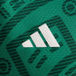 Mexico Home Player Version 26/27