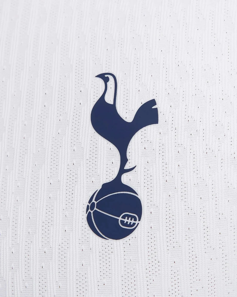 Tottenham Hotspurs Home 24/25